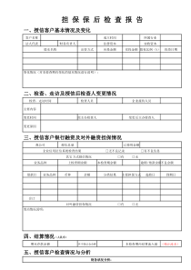 融资担保保后检查报告