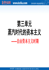 09高考世界近现代史单元复习课件3高三历史课件