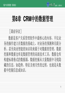 第6章CRM中的数据管理