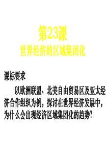 必修2第23课世界经济的区域集团化人教版模式1必修2全套课件