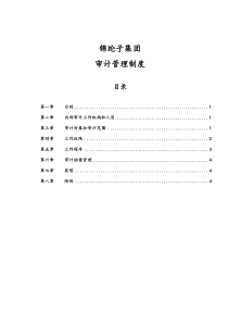 华彩咨询_xx集团锦纶子集团审计管理制度（doc7页）