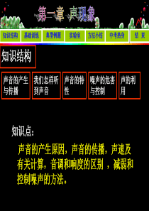 初中物理《声现象》(共30张)ppt2