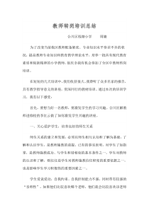 教师转岗培训总结