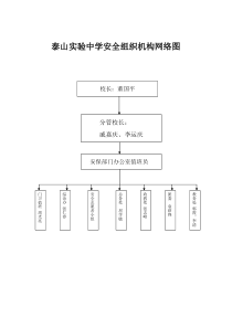 安全组织机构网络图