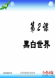 湘教版美术八年级下册第二课黑白世界ppt课件3