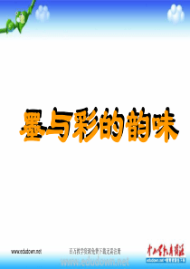 第三课墨与彩的韵味ppt课件2人教版美术初中美术八年级上册PPT课件