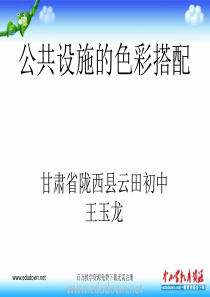 第六课公共设施的色彩搭配ppt课件人教版美术初中美术九年级上册PPT课件