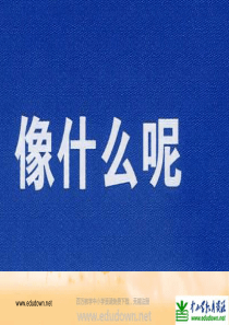 苏教版小学美术一年级上册14像什么呢PPT课件4美术教学资源