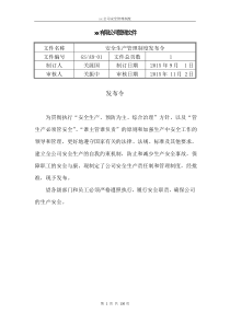 各项安全管理制度文件发布令