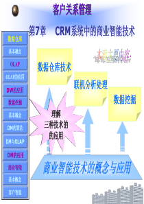 第7章CRM系统中的商业智能技术客户关系管理