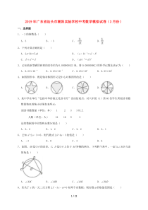 广东省汕头市潮阳实验学校2019年中考数学模拟3月试卷含解析