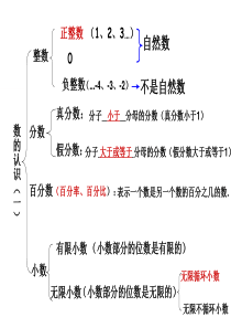 人教版六年级下册数学总复习数的认识-(1)