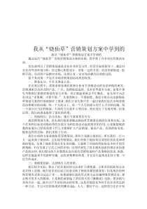 营销策划学习心得