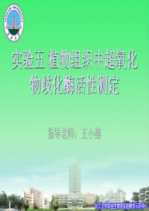 实验五-植物组织中超氧化物歧化酶活性测定