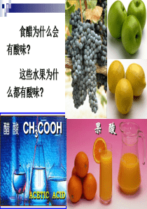 酸的化学性质导课件