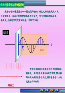 线偏振光与部分偏振光