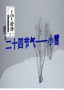 小雪节气教案