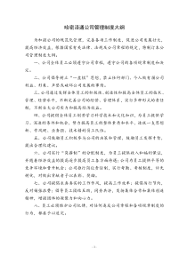 哈密泽通公司管理制度大纲