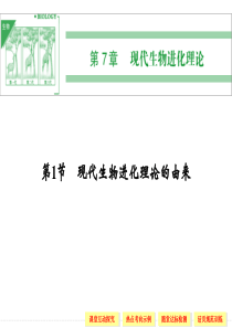 高中生物必修2同步课件：7-1现代生物进化理论的由来(2013人教版)