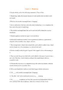 chapter3-morphology