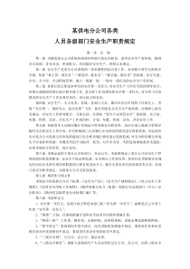 某供电分公司各类人员各级部门安全生产职责规定