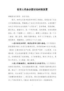 县长在讨论市政府工作报告时的发言