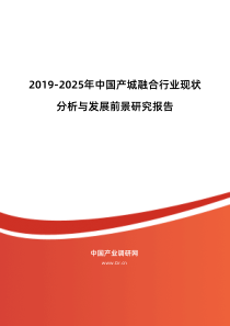 2019年产城融合市场现状与发展趋势预测报告-目录