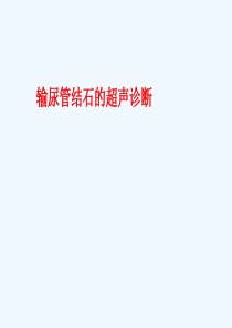 输尿管结石的超声诊断1