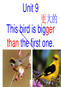 2014下 6上U9This bird is bigger than the first one.