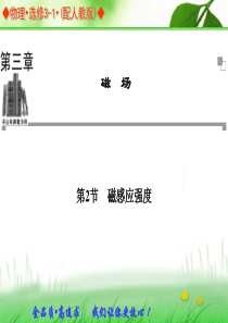 2013-2014学年高中物理人教版选修3-1同步辅导与检测课件：第3章 第2节 磁感应强度