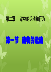 第一节--动物的运动ppt