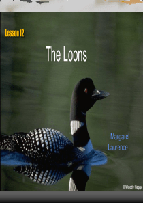 高级英语-Lesson-12-The-Loons