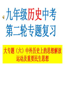 2016年中考历史冲刺二轮复习大专题六中外历史上的思想解放运动及重要民生思想