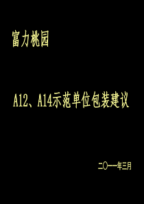 嘉联-富力桃园A12、A14样板间包装建议