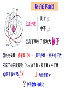 4.2原子核的衰变_沪科版