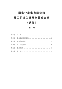 国电某发电有限公司员工职业生涯规划管理办法