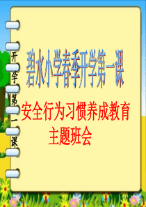 2018年春季开学第一课安全教育主题班会