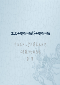 45文献阅读报告