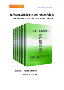 尾气处理成套装备项目可行性研究报告(专业经典案例)