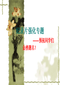 纪录片强化专题