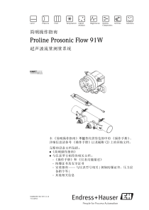 E+H超声波流量计91W操作调试手册