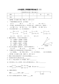 沪教版六年级下数学期末复习试卷及答案(1)