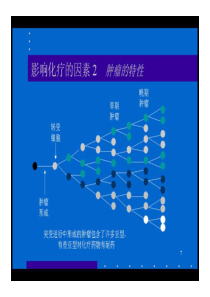 肿瘤学基本原则12