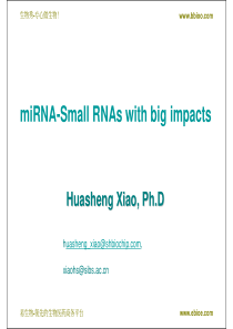 microRNA技术介绍