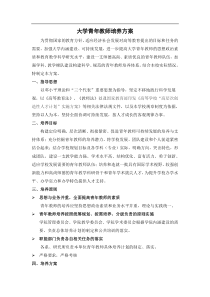 大学青年教师培养方案