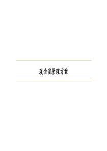 现金流管理方案(PPT-94页)