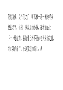 爱情陷阱