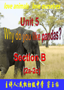 人教版七年级英语下册Unit5-Why-do-you-like-pandas--Section-B-