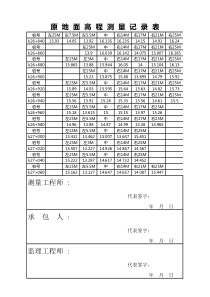 原地面高程测量记录表