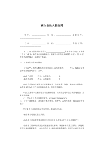 两人合伙入股合同股东合伙合作协议模板